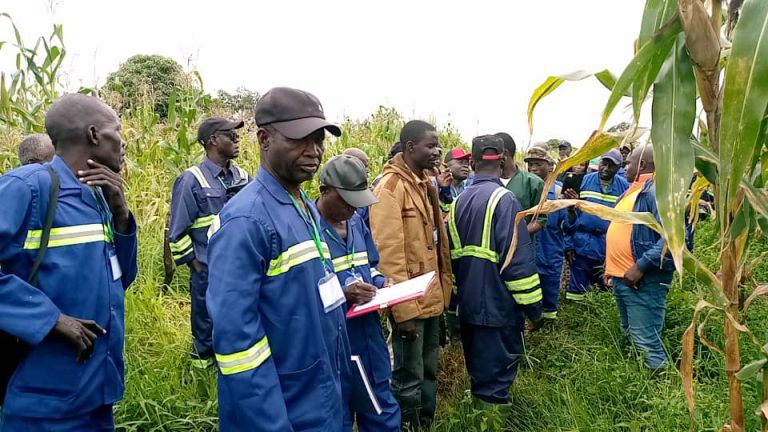 Reconversion professionnelle des Anciens Combattants : une nouvelle cuvée sur le terrain