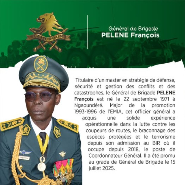 Biographie du Général de Brigade PELENE François