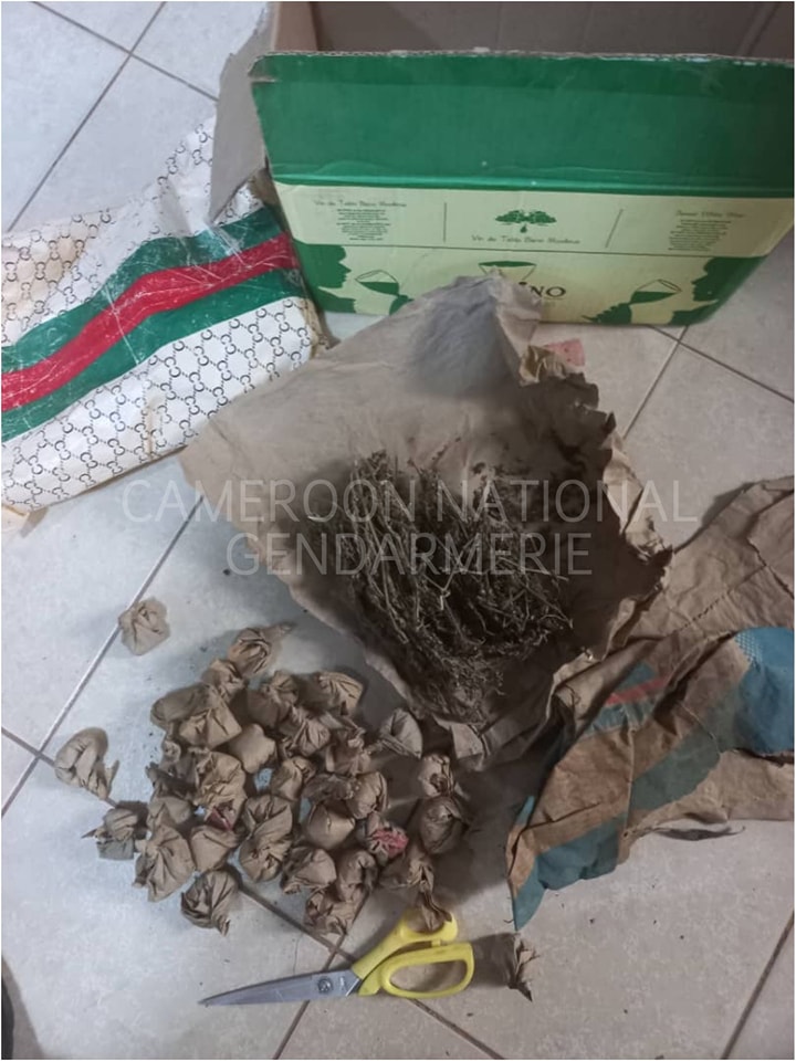 Second phase of operation Mbalmayo clean: The Gendarmerie Company seizes a stock of Indian hemp.