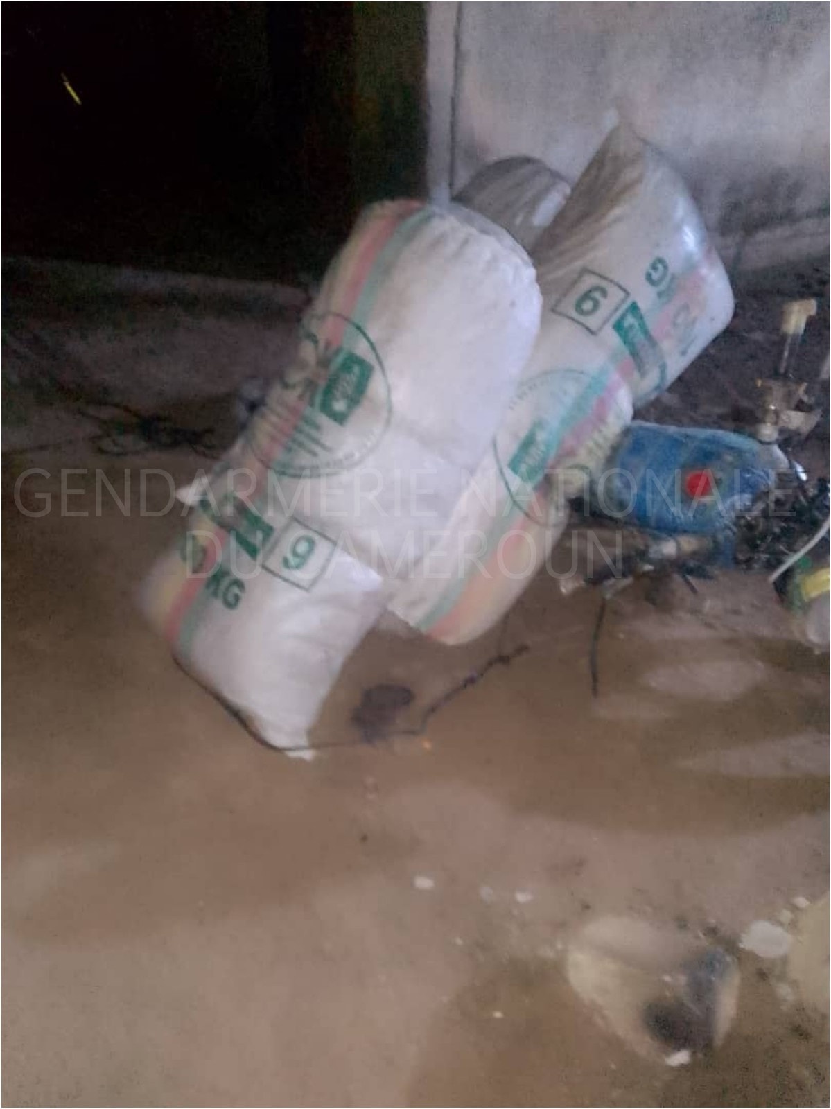 LUTTE CONTRE LE TRAFIC DE STUPEFIANTS : LA COMPAGNIE DE GENDARMERIE DE MAROUA PROCEDE A LA SAISIE D’UN IMPORTANT STOCK DE CHANVRE INDIEN.