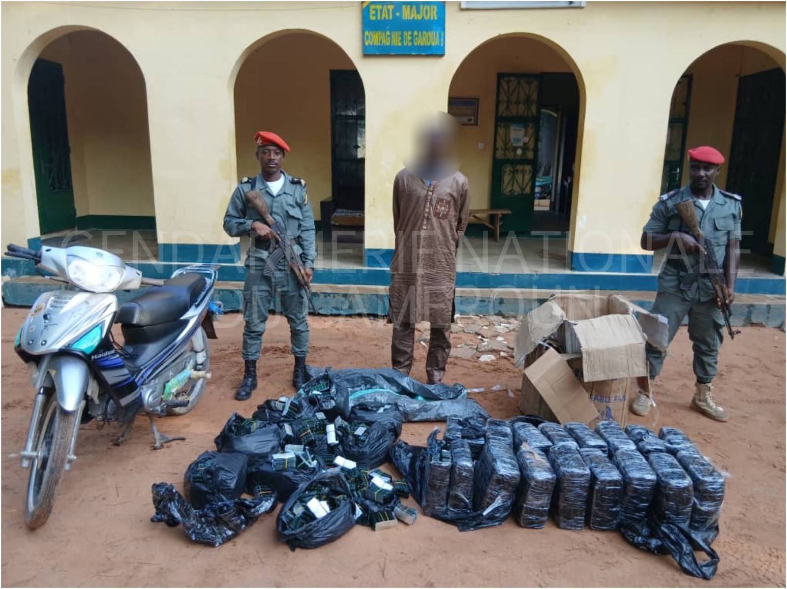 LUTTE CONTRE LE TRAFIC DES STUPÉFIANTS : LA COMPAGNIE DE GENDARMERIE DE GAROUA I MONTE AU CRÉNAU