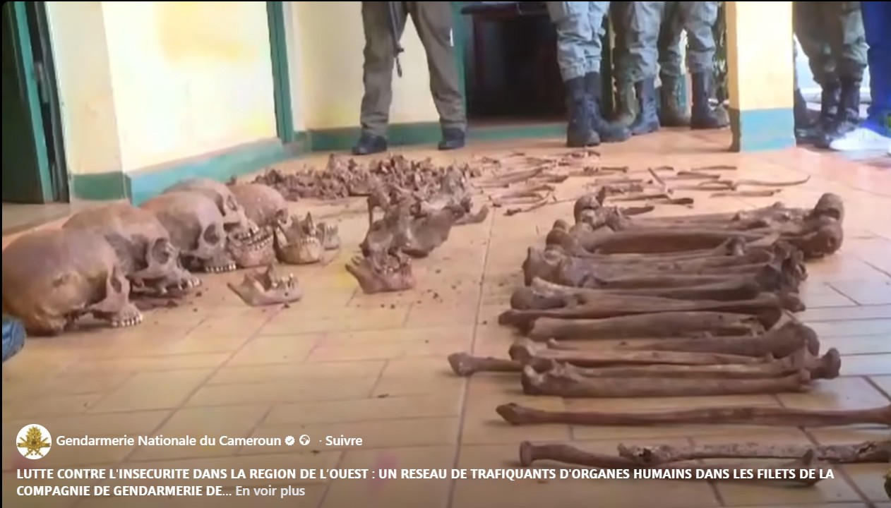 LUTTE CONTRE L’INSÉCURITÉ DANS LA RÉGION DE L’OUEST : UN RÉSEAU DE TRAFIQUANTS D’ORGANES HUMAINES DANS LES FILETS DE LA COMPAGNIE DE GENDARMERIE DE BAGANTÉ