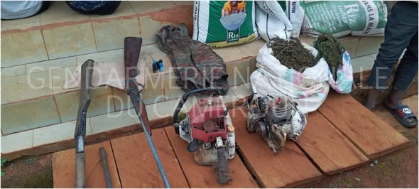 OPÉRATION DE BOUCLAGE À ATOK : LA COMPAGNIE DE GENDARMERIE D’ABPNG-MBANG RENFORCE LA SÉCURISATION DES ZONES URBAINES ET PÉRIURBAINES