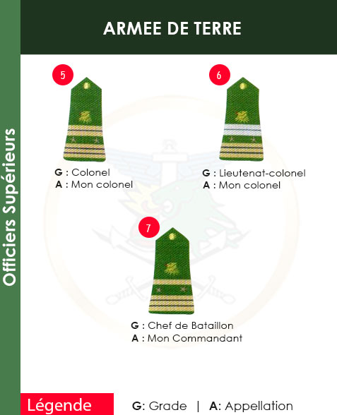 GRADES ET APPELLATIONS OFFICIER SUPERIEURS ARMEE DE TERRE