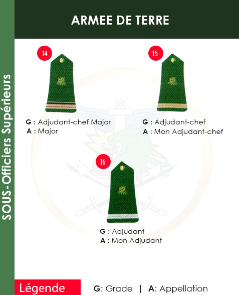 GRADES ET APPELLATIONS SOUS-OFFICIER SUPERIEURS ARMEE DE TERRE