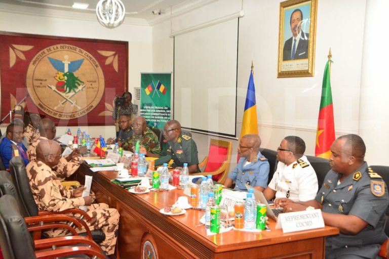 BILATERAL COOPERATION: CAMEROON-CHAD STRENGTHEN MILITARY TIES TO COMBAT COMMON SECURITY THREATS